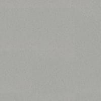 LIGHT WARM GREY