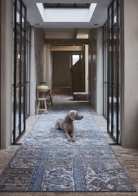 Tarkett Desso & Ex carpet tiles flooring