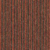 Essence Stripe