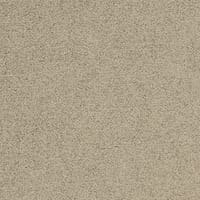Tarkett Palatino Broadloom flooring