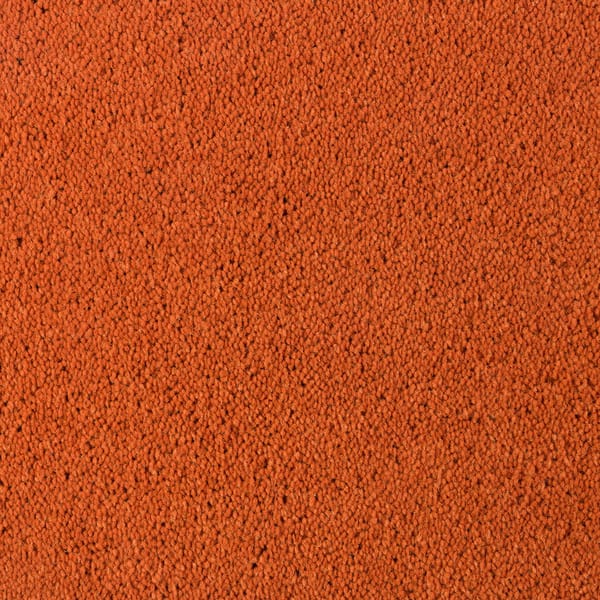 Tarkett Asteranne flooring