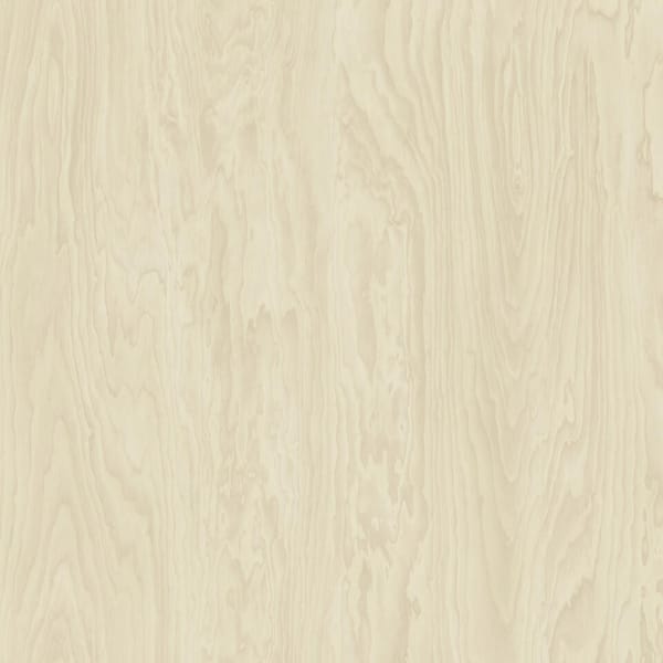 Tarkett Acczent Excellence Compact+ flooring