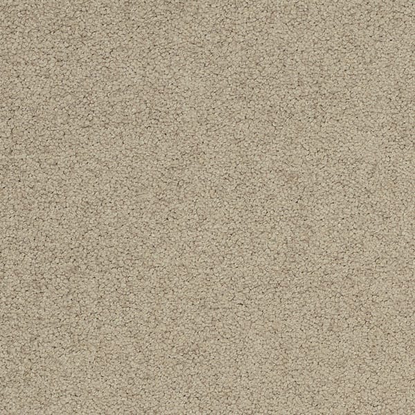 Tarkett Palatino Broadloom flooring