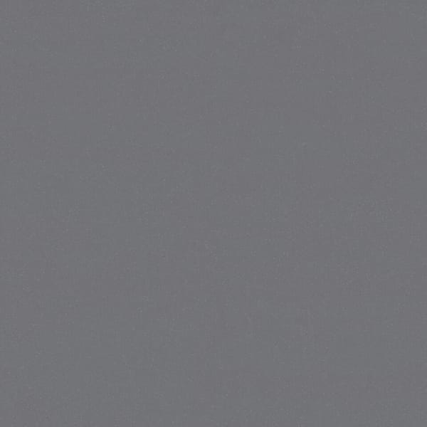 Tarkett Safetred Universal R12 flooring