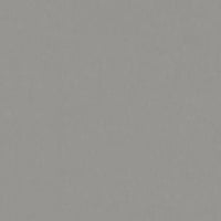 Tarkett Style Emme xf²- 2,5mm — Style Emme CEMENTO — SKU 14235202