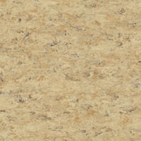 Tarkett Veneto Essenza+ (2.5mm) — Veneto CORK — SKU 1805679