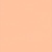 Tarkett Wallgard — Wallgard ORANGE — SKU 21055227