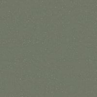 Tarkett Safetred Spectrum — Spectrum Forest Green S25-601 09 — SKU 206073728