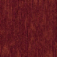 Tarkett Grain — Grain B867 4211 — SKU 710550002