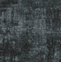 Tarkett DESSO & Ex Nature — Desso&Ex Nature AC35 Black 9980-204 — SKU 711990017