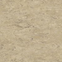 Tarkett Veneto xf² (2.0mm) — Veneto ECRU — SKU 14171711