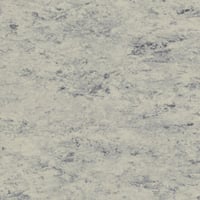 Tarkett Veneto Silencio xf² 19dB (3.8mm) — Veneto PLATINUM — SKU 14792684