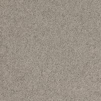 Tarkett Palatino Broadloom — Palatino A996 2923 — SKU 710221002