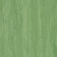 Tarkett Standard Plus (2.0 mm) — Standard DARK GREEN — SKU 21003921