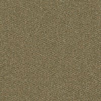 Tarkett Emerge — Emerge AE01 Green — SKU 712382012