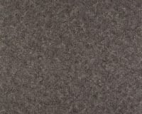 Lonseal Lonmarine Stone — Carbone 14 — SKU MS14